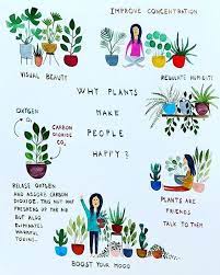 butterfly garden with farming areas at wildlands adventure zoo adventure park butterfly garden exterior