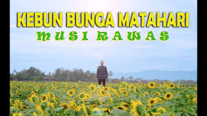 Kode alam cicak jatuh tentu saja akan berbeda dengan kode alam kejatuhan cicak atau cicak kawin dsb. Grantnsaipan Taman Bunga Di Lubuk Linggau