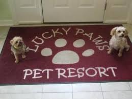 (2 days ago) have used mobile grooming and drop off grooming since moving here in 2010. Best Indoor Dog Parks In The United States