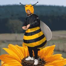 See full list on minecraft.fandom.com Bee Gifs Tenor