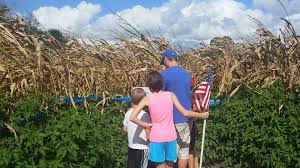 Long & Scott's Corn Maze in Zellwood