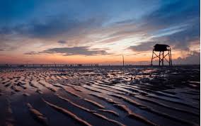 Tiền giang (listen) is a province in the mekong delta region of southern vietnam. 12 Ä'á»‹a Ä'iá»ƒm Du Lá»‹ch Tiá»n Giang Báº¡n Nháº¥t Ä'á»‹nh Pháº£i Ä'áº¿n Vntrip Vn