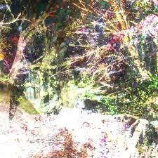 Sam Bernhardt ultimate reality Lyrics