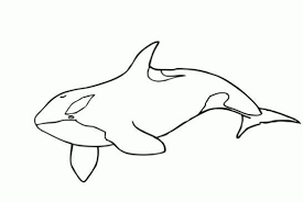 Pin On Coloringpage