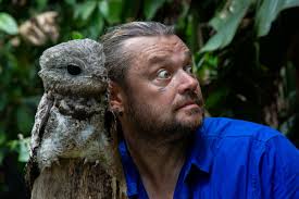 Você conhece o Urutau ou mãe da Lua? O...