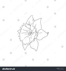 Black Line Art Daffodil Flower In Hand Drawing Vector Art Daffadowndilly Narcissus And Jonquil Ad Ad Daffodil Flowe Daffodil Flower Line Art Flower Art