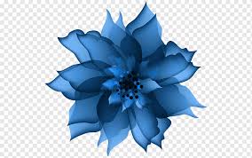 We did not find results for: Flower Red Purple Blue Flower Purple Blue Orange Png Pngwing