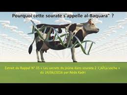 Extrait R32 Les Secrets De Sourate La Vache البقرة Par Reda Kadri Youtube En 2020 Sourate La Vache Sourate Vache