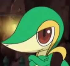 Ashs Snivy Azurilland Wiki