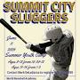 Sluggers from www.summitcitysluggers.com