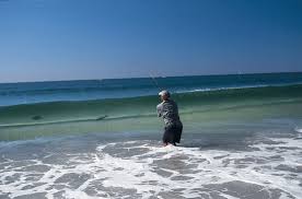 Image result for fly fishing for striped bass