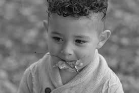 What do you think of this photo?