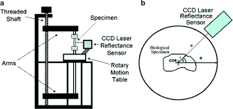 Microscope • procedural errors can be. Ligament And Tendon Enthesis Anatomy And Mechanics Springerlink
