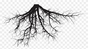 Maybe you would like to learn more about one of these? Download Png Tree Silhouette With Roots Transparent Png 1200x480 6685271 Pngfind