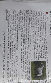 Identifică derivatele din exercițiul de mai jos și explică forma acestora după modelul de la exercițiul 17 era o pândă continuăm o neobosita hartuiala, o pâră generala, se rupeau prietenii numai cinci minute, se spuneau lucruri de o cruzime pe care numai un copil o poate suporta și ierta. Vreau Rezumatul Acestui Text Va Rog Mult Brainly Ro