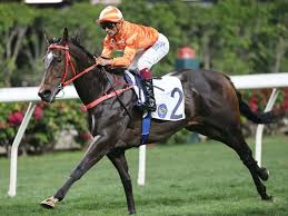 Image result for Handic 62