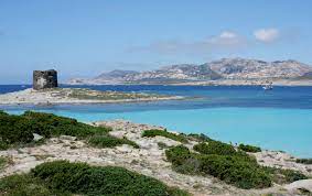 Anche dal punto di vista faunistico l'asinara è ricca di specie di particolare importanza ed altre una volta presenti sull'isola come la foca monaca, il falco pescatore ed il cervo. Die Insel Asinara Routen Sardinien Camping Village Alghero Campingplatz