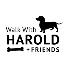 Maybe you would like to learn more about one of these? Project Precious Rescue Inc Home Facebook