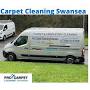 Pro Carpet Cleaning Swansea from www.yell.com