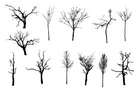 Everybody loves the taste of nature. 12 Simple Bare Tree Silhouettes Png Transparent Onlygfx Com