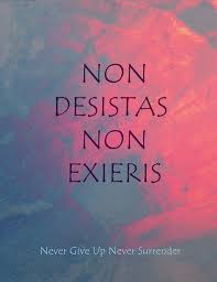 Instant Download Printable Art Latin Phrases Non Desistas Non Etsy Latin Quote Tattoos Latin Quotes Latin Phrases