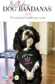 Custom Birthday Dog Bandanas For Your Precious Fur Baby Three Spoiled Dogs Is A Dog Accessory Boutique Offering Beautif Dog Mom Gifts Spoiled Dogs Dog Bandana