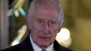 Svårt sjuka 4-åringens starka brev till kungen