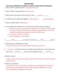 #protein synthesis worksheet answer key #protein synthesis review worksheet answer key #gene expression worksheet answers #messenger rna coloring worksheet answers #dna mrna codon wheel. Review Sheet Unit 6 Quiz 2 Dna Rna Transcription