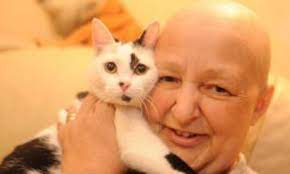 I just wanted to add that ct scans are usually also done to particular areas of the body. Breast Cancer My Kitten Alerted Me To My Cancer Because She Kept Jumping On My Breast Daily Mail Online
