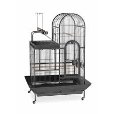 Eli Deluxe Parrot Bird Cage With Play Top In 2020 Parrot Cage Parrot Toys Parrot Bird