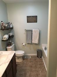 Filmy Green By Sherwin Williams In Bathroom Neutral Paint Option Modern Bathroom Paint Neutral Bathroom Paint Colors Painting Bathroom