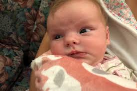 Fundraiser by Greg Johnston : Adopting Cordelia