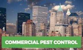 Green pest control options available. Long Island Pest Control Services Exterminator Rest Easy Pest Control