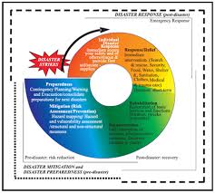 Disaster Nursing Disaster Response Executive Functioning Skills Disasters