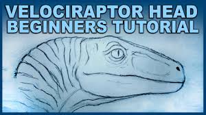 Part 2 detailing the scaling process here. How To Draw Indominus Rex Head Part 1 Base Head Shape By Beanie Draws