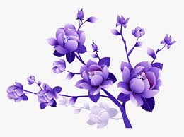 Image result for flowers against white background