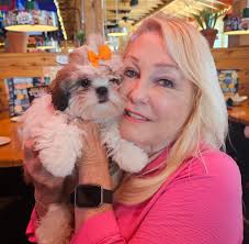 Merry Christmas from the pups. Sophie's first Christmas!