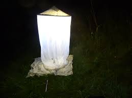 Uv led spotlights, cool white led's, and neutral colored led's may attract insects to the same degree as fluorescent or halogen bulbs. What Is The Most Effective Light Source To Attract Wide Range Of Insects To Light Traps