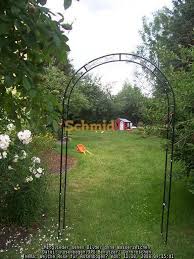 Lesen sie rezensionen und informieren sie sich über beteiligte personen. Welche Rose Fur Rosenbogen Rosen Forum Garten Forum Schmid Gartenforum