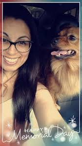 Sangamon County Lost Pets