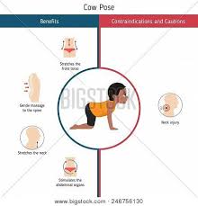 Browse our extensive yoga pose library, with a large collection of basic poses, advanced poses, seated and standing poses, twists, and bandha techniques. Infographics Of Yoga Pose Benefits And Contraindications Of Garland Yoga Pose Cartoon Style Illustration Isolated On White Background Mouse Pad Id 246756130