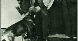 Ataturk Ve Kopegi Foks 2020 Nadide Fotograflar Tarih Turkler