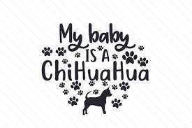 Free Free 176 Chihuahua Silhouette Svg Free SVG PNG EPS DXF File