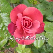 Check spelling or type a new query. Michelle Ward Happy Mother S Day