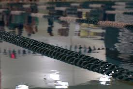 Woodhaven boys run 1st at Gabriel Richard Downriver Invitational