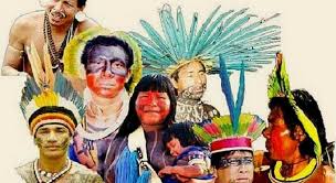 Resultado de imagem para ONU abre consulta sobre mecanismo de direitos humanos dos povos indígenas