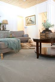 Get free shipping on qualified pet friendly artificial grass or buy online pick up in store today in the outdoors department. Pet Friendly Carpet Makes Life Easier Refresh Restyle