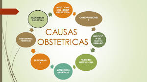 Intervenciones y actividades consideradas de la sepsis materna. En Todo Caso De Sepsis Severa O Shock Septico Durante El Embarazo Parto Y Puerperio En Caso De Aborto Con Antecedentes De Maniobras Abortivas En Puerperas Ppt Descargar