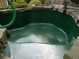 Lukisan ikan koi untuk mempercantik rumah anda kaskus. Inilah Tips Cara Memilih Warna Cat Kolam Ikan Koi