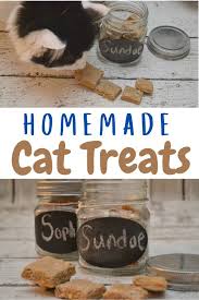 Homemade Tuna And Cheddar Cat Treats In 2020 Homemade Cat Treats Recipes Cat Treats Homemade Pet Treats Recipes